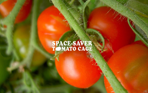 Space Saver Tomato Cage